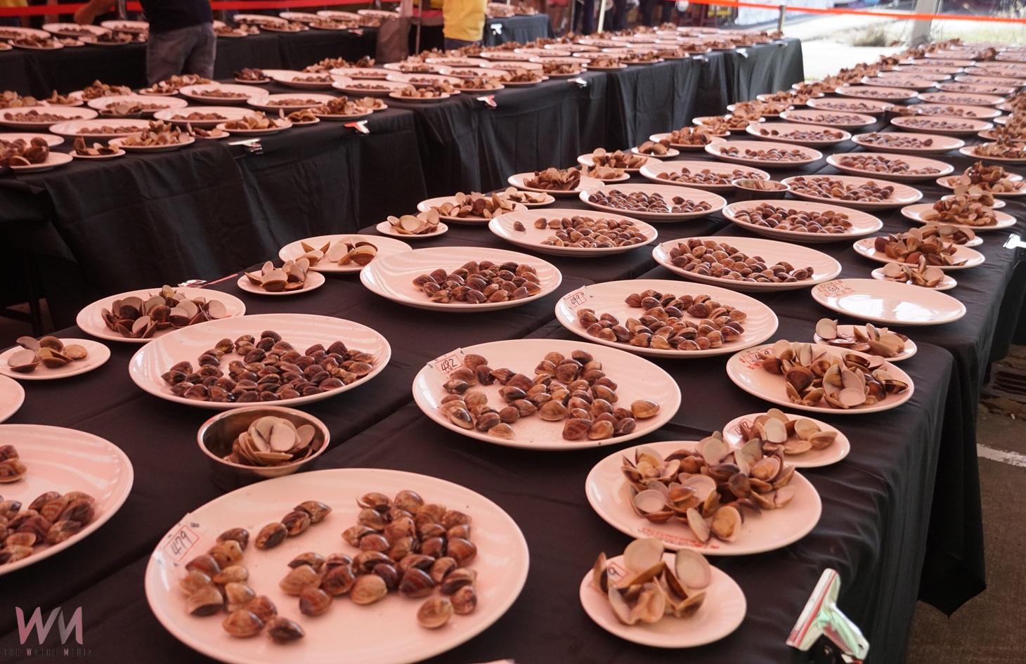 雲林區漁會文蛤節盛大開幕　台塑攜手漁民推廣養殖成果展 - https://www.watchmedia01.com