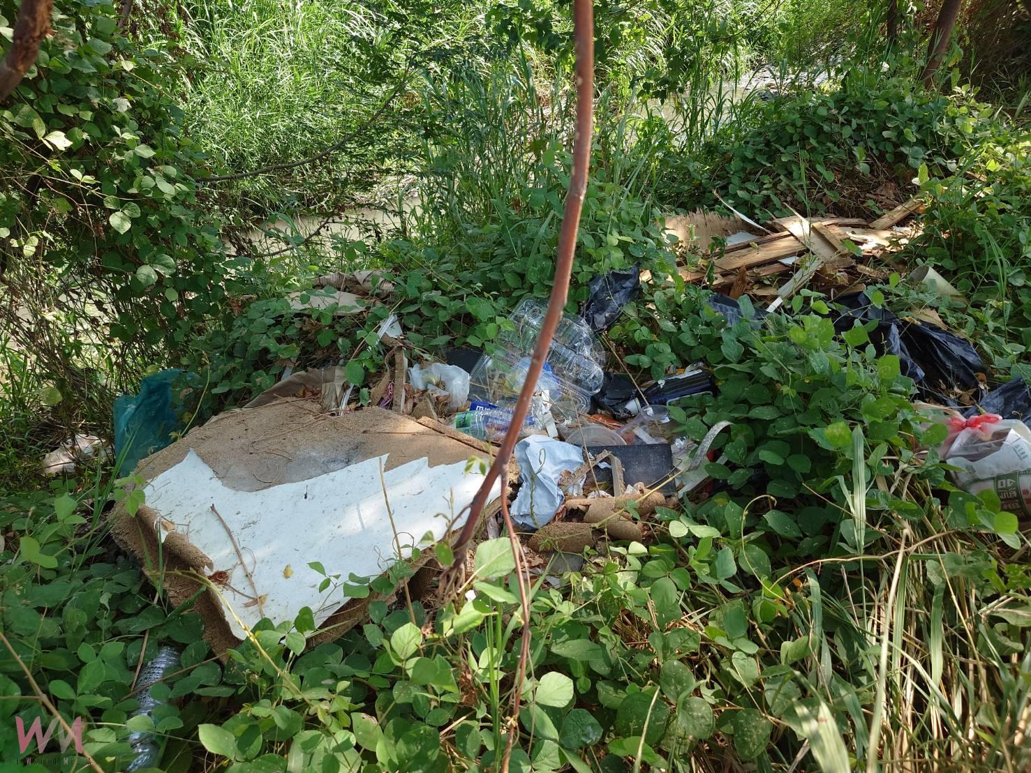 貓羅溪河床遭非法傾倒棧板碎玻璃　警方鎖定林男 - https://www.watchmedia01.com