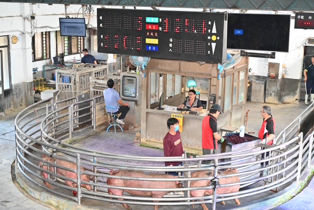 豬隻禁運禁宰解封 宜蘭肉品市場以10月21日鄰近三縣市均價為基準起拍 - https://www.watchmedia01.com