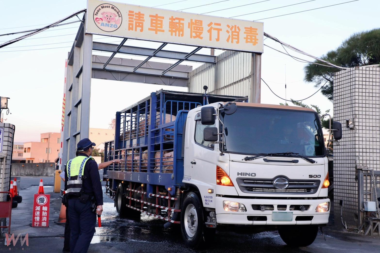 防非洲豬瘟再升級 中市府助農民減輕負擔並強化防疫監測 - https://www.watchmedia01.com