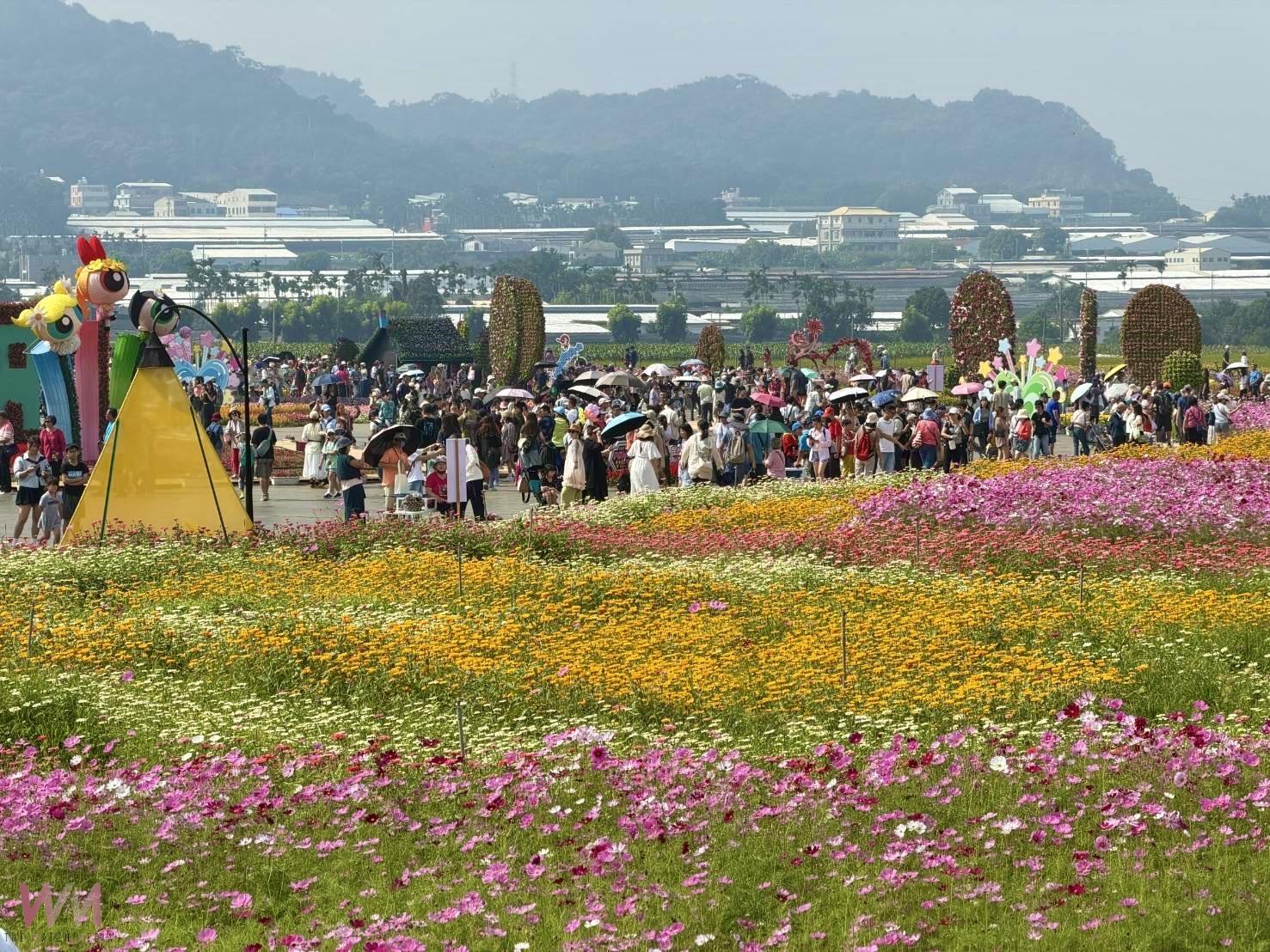 「飛天小女警」來了 2025新社花海暨台中國際花毯節11/8盛大開幕 - https://www.watchmedia01.com