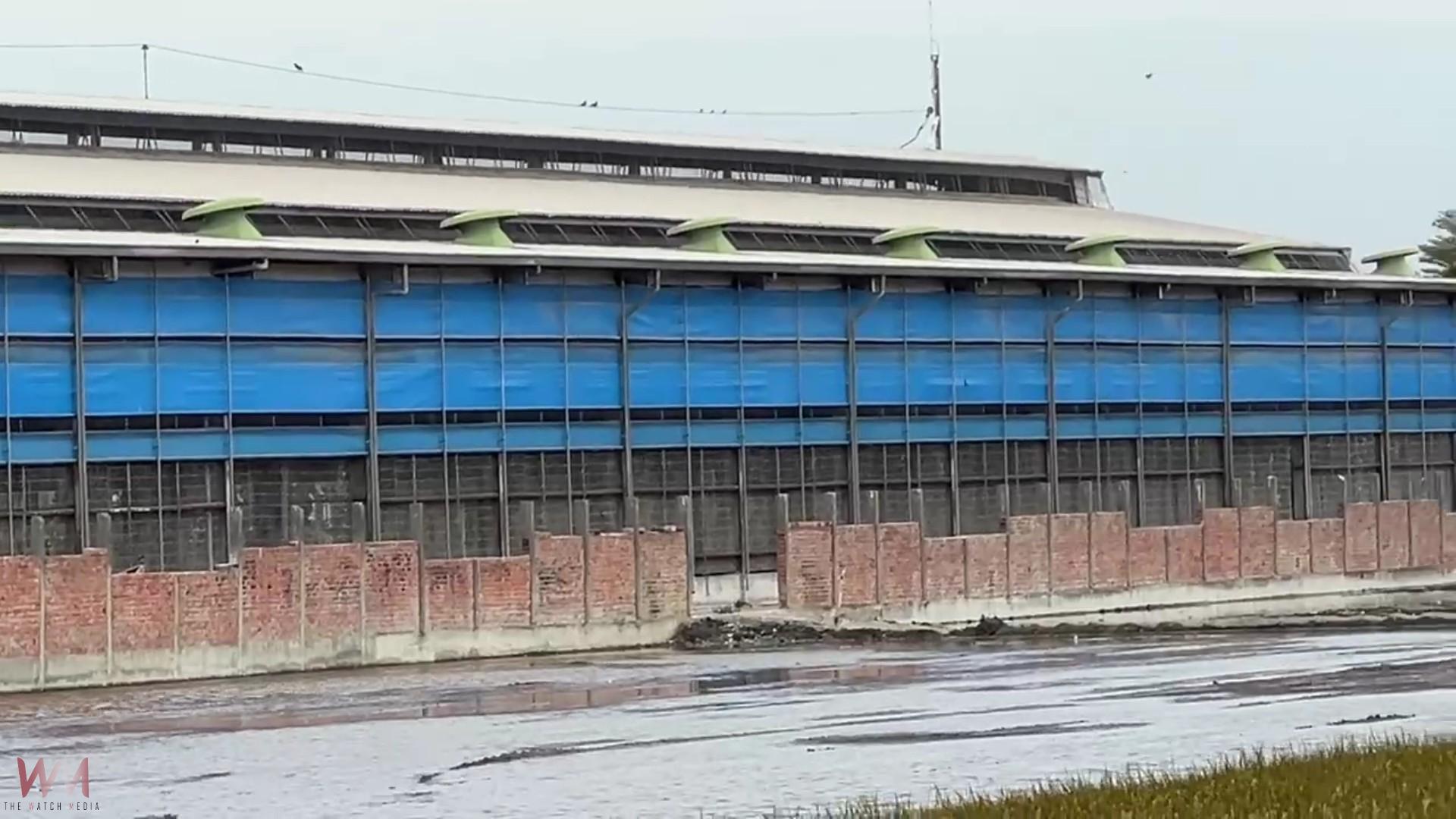 （有影片）／彰縣某養雞場雞蛋驗出「芬普尼」超標　縣府追查污染源 - https://www.watchmedia01.com