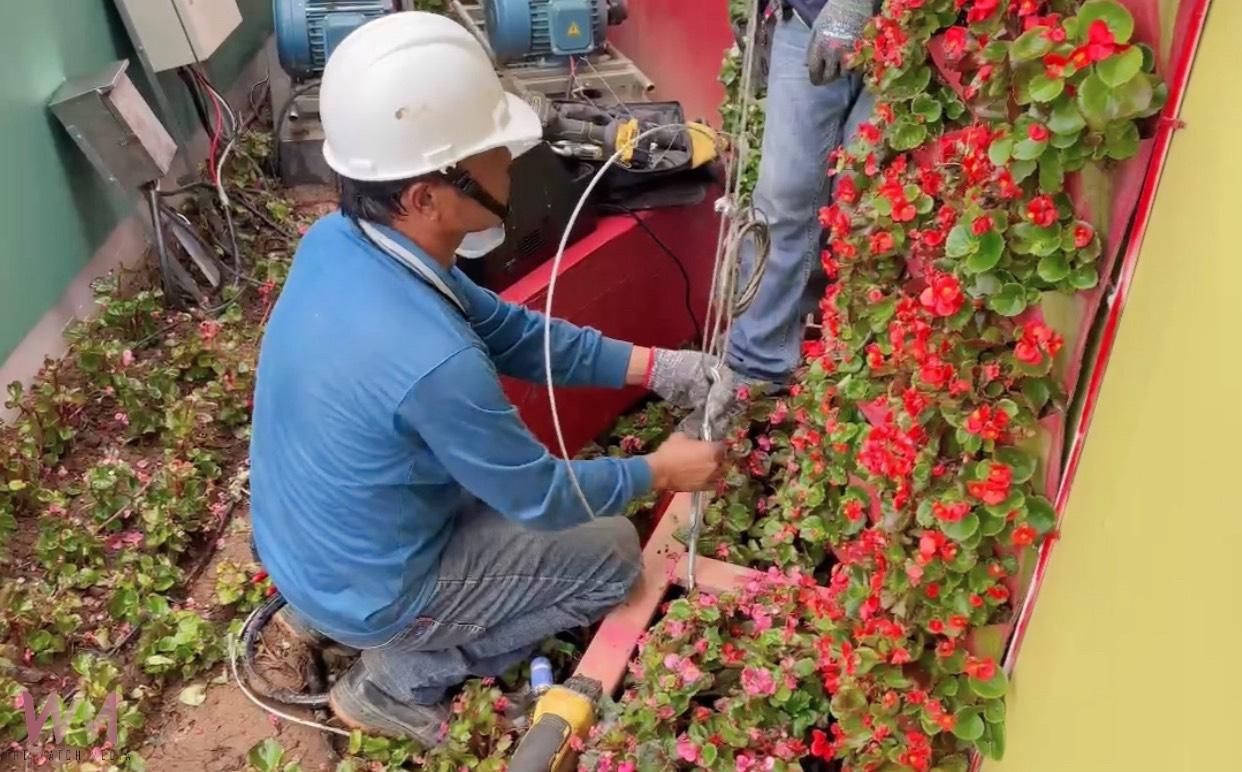 鳳凰颱風來襲 台中國際花毯節啟動防颱作業 陸上颱風警報發布後閉園 - https://www.watchmedia01.com