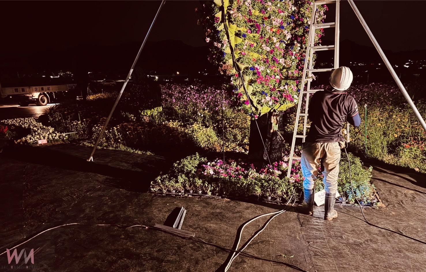 鳳凰颱風來襲 台中國際花毯節啟動防颱作業 陸上颱風警報發布後閉園 - https://www.watchmedia01.com