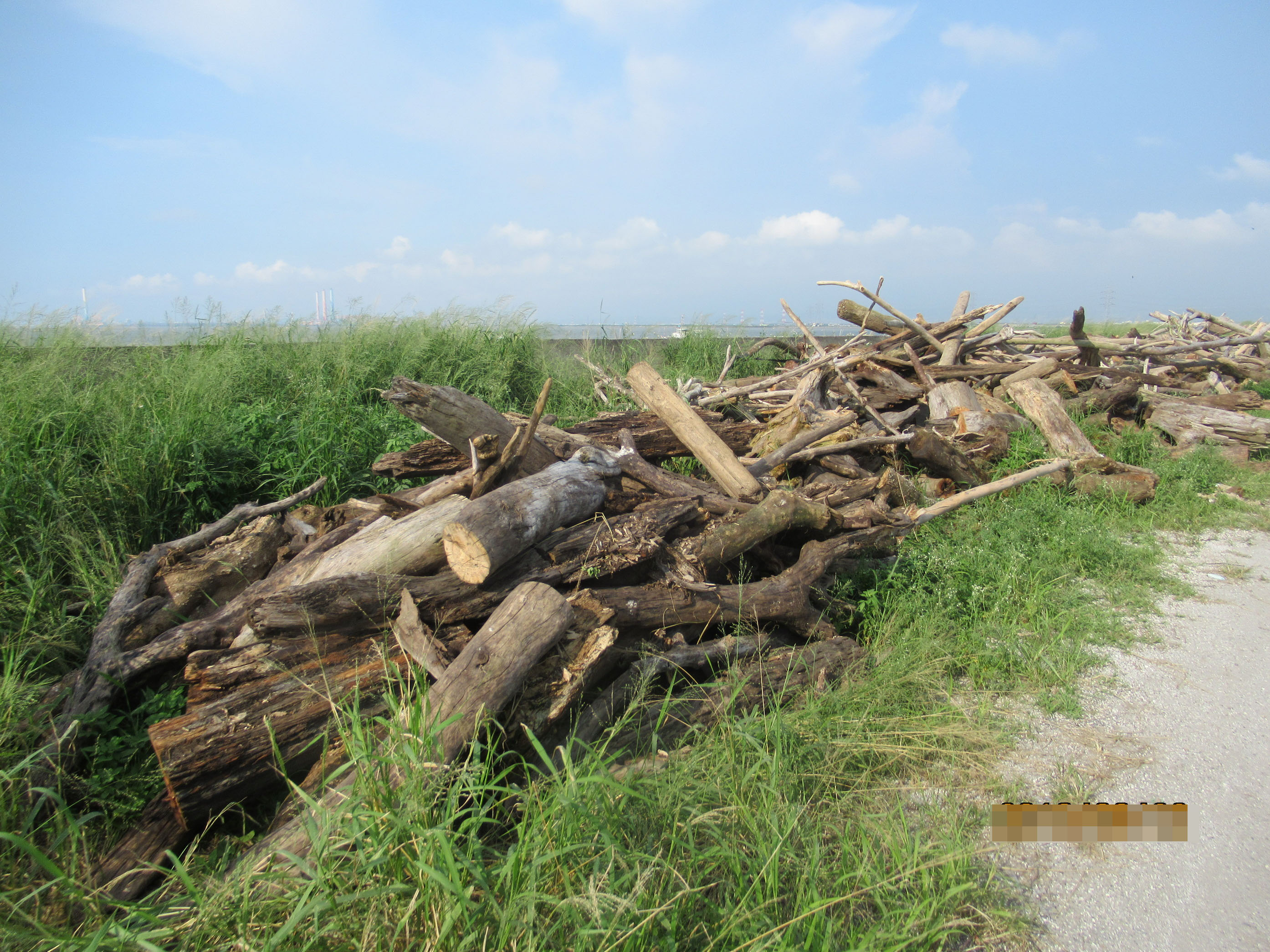 濁水溪流域撿木令暫停！林業署籲颱風期間遠離山區河川 - https://www.watchmedia01.com