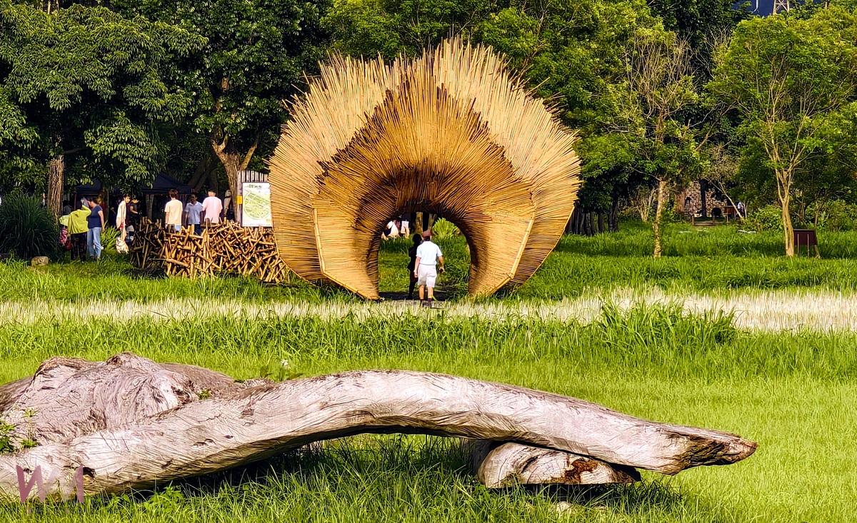 斜坡上的藝術節「唱響山海」 11/29屏東林後四林園區登場 - https://www.watchmedia01.com