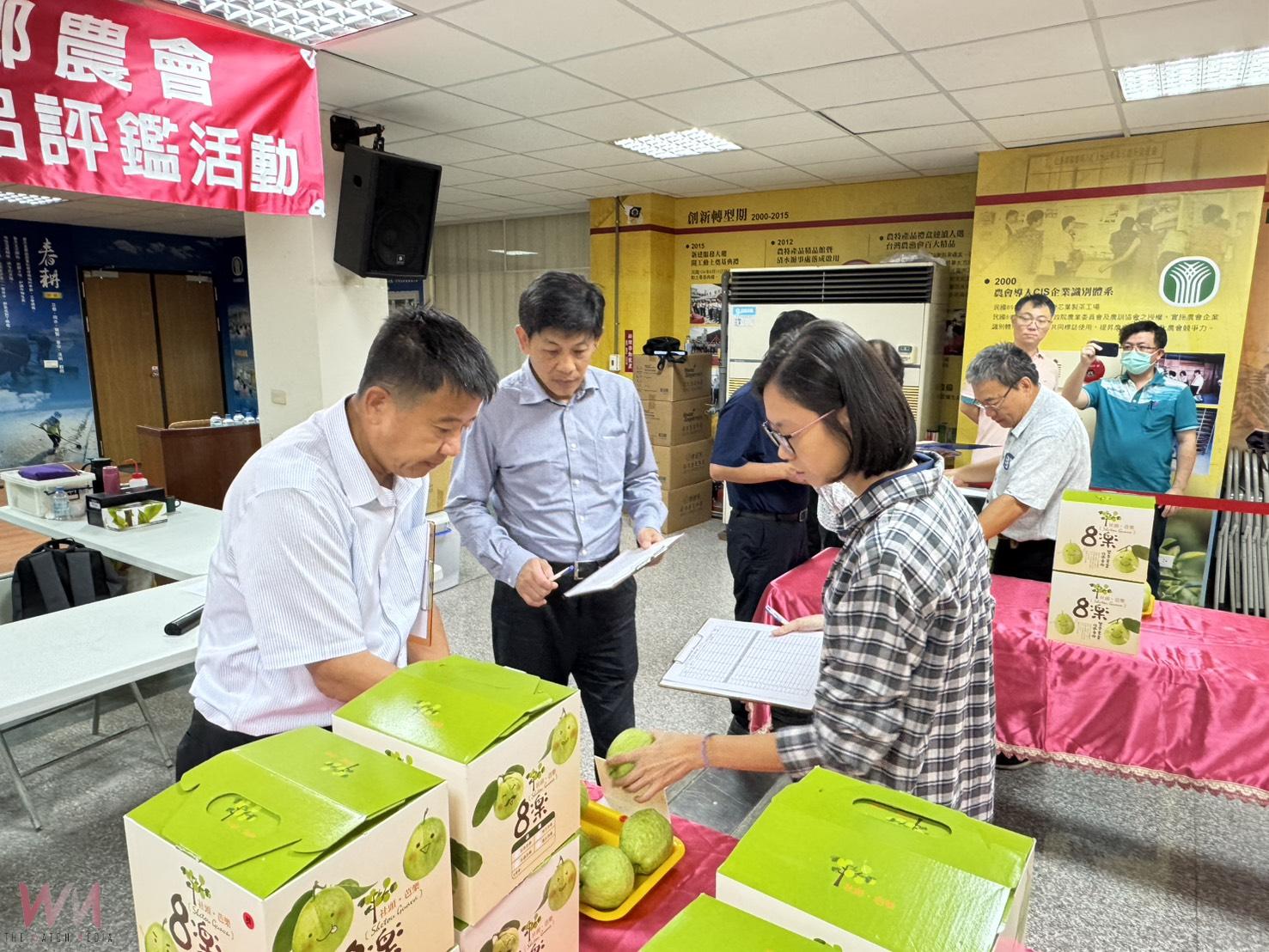 （有影片）／114年度中部番石榴評鑑　來自15個鄉鎮99組農友參賽 - https://www.watchmedia01.com