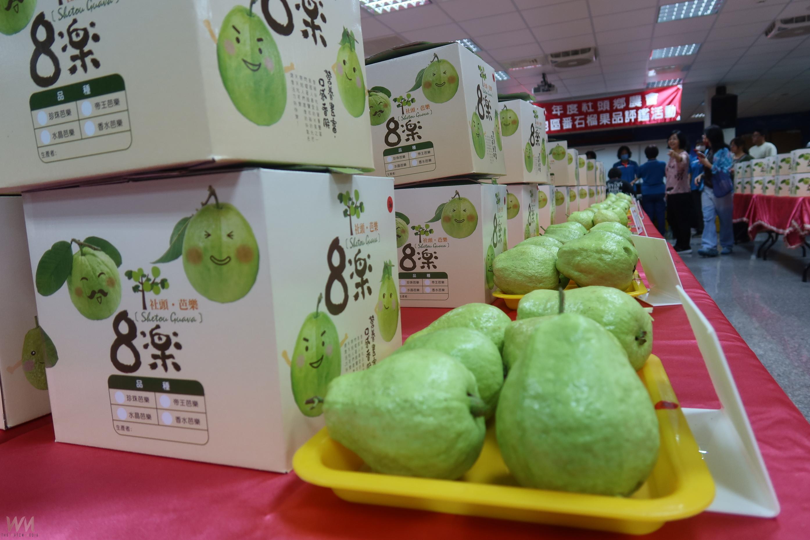 （有影片）／114年度中部番石榴評鑑　來自15個鄉鎮99組農友參賽 - https://www.watchmedia01.com