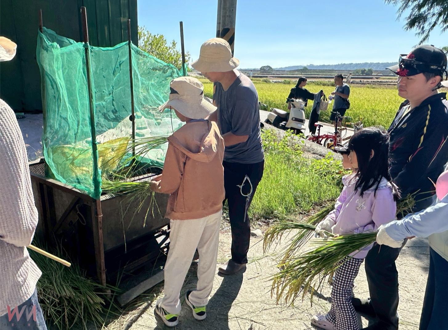 忘憂谷飄稻香!台中市食農教育體驗營起跑 強化在地產業連結 - https://www.watchmedia01.com