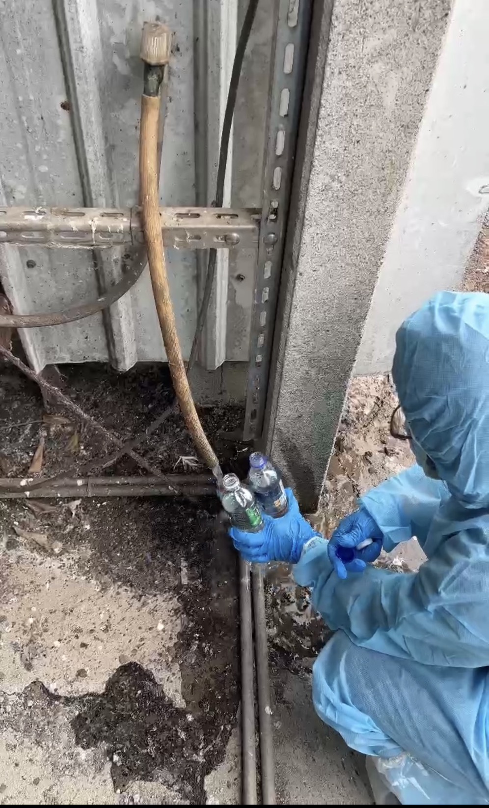 芬普尼毒蛋風波 文雅畜牧場4萬顆雞蛋流出台中 - https://www.watchmedia01.com