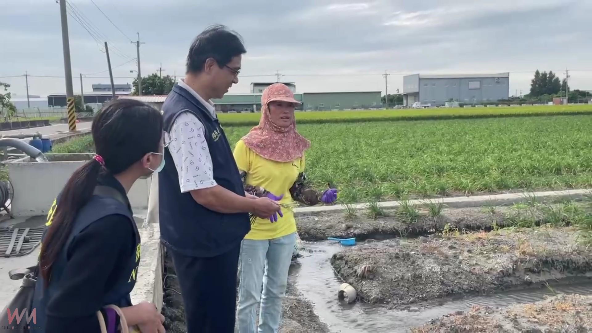 （有影片）／韭菜花田二十年耕耘　越南新住民阮金紅養出台大優秀子女 - https://www.watchmedia01.com