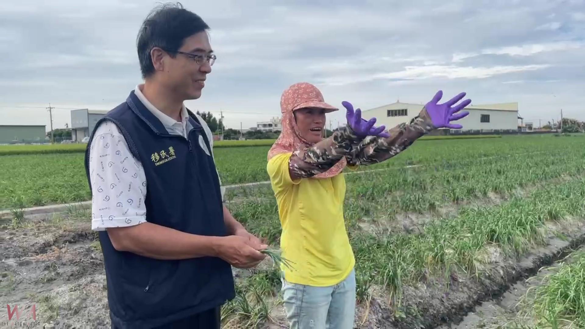 （有影片）／韭菜花田二十年耕耘　越南新住民阮金紅養出台大優秀子女 - https://www.watchmedia01.com