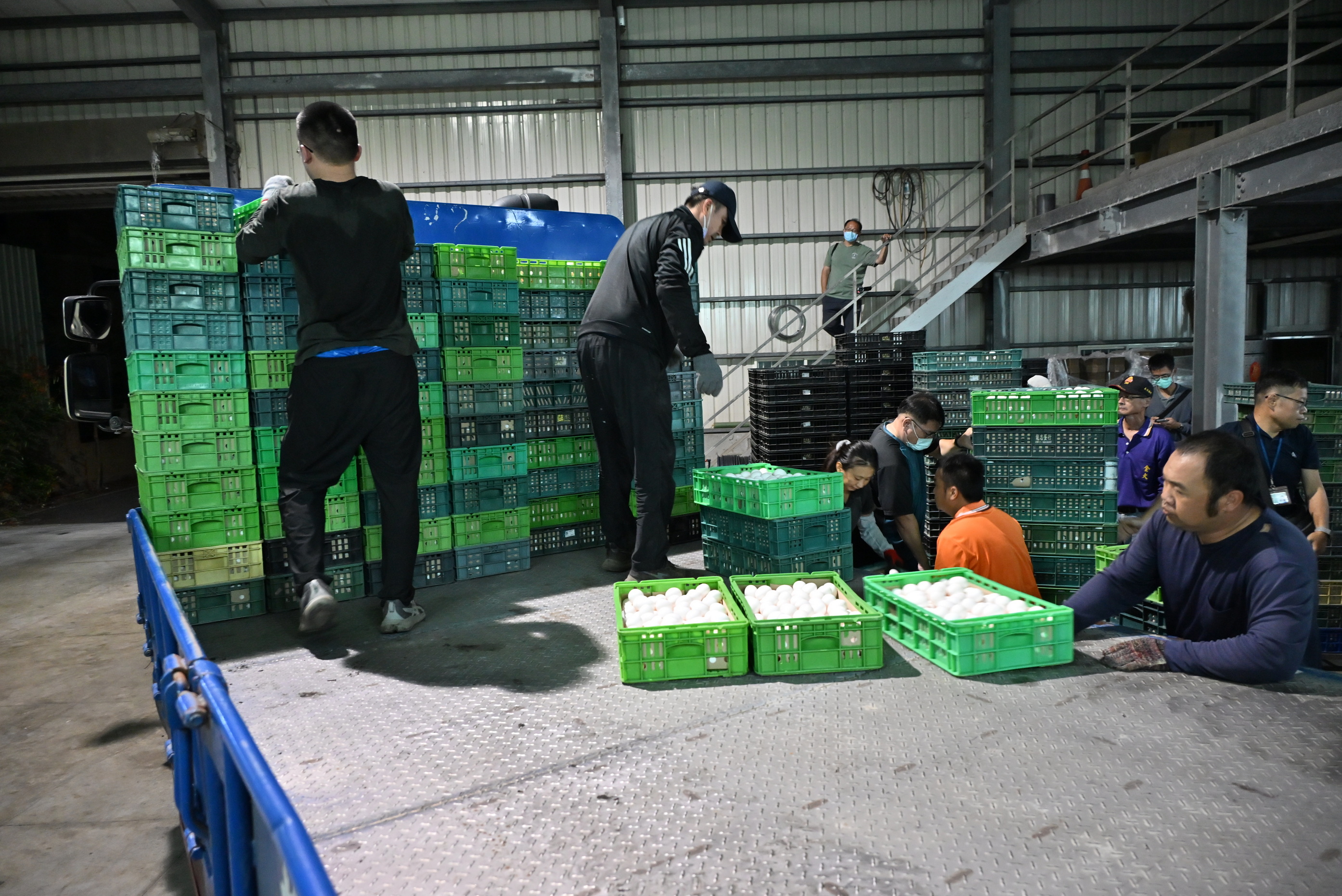 (有影片)/彰化文雅畜牧場雞蛋疑含芬普尼 25萬顆緊急銷毀 - https://www.watchmedia01.com