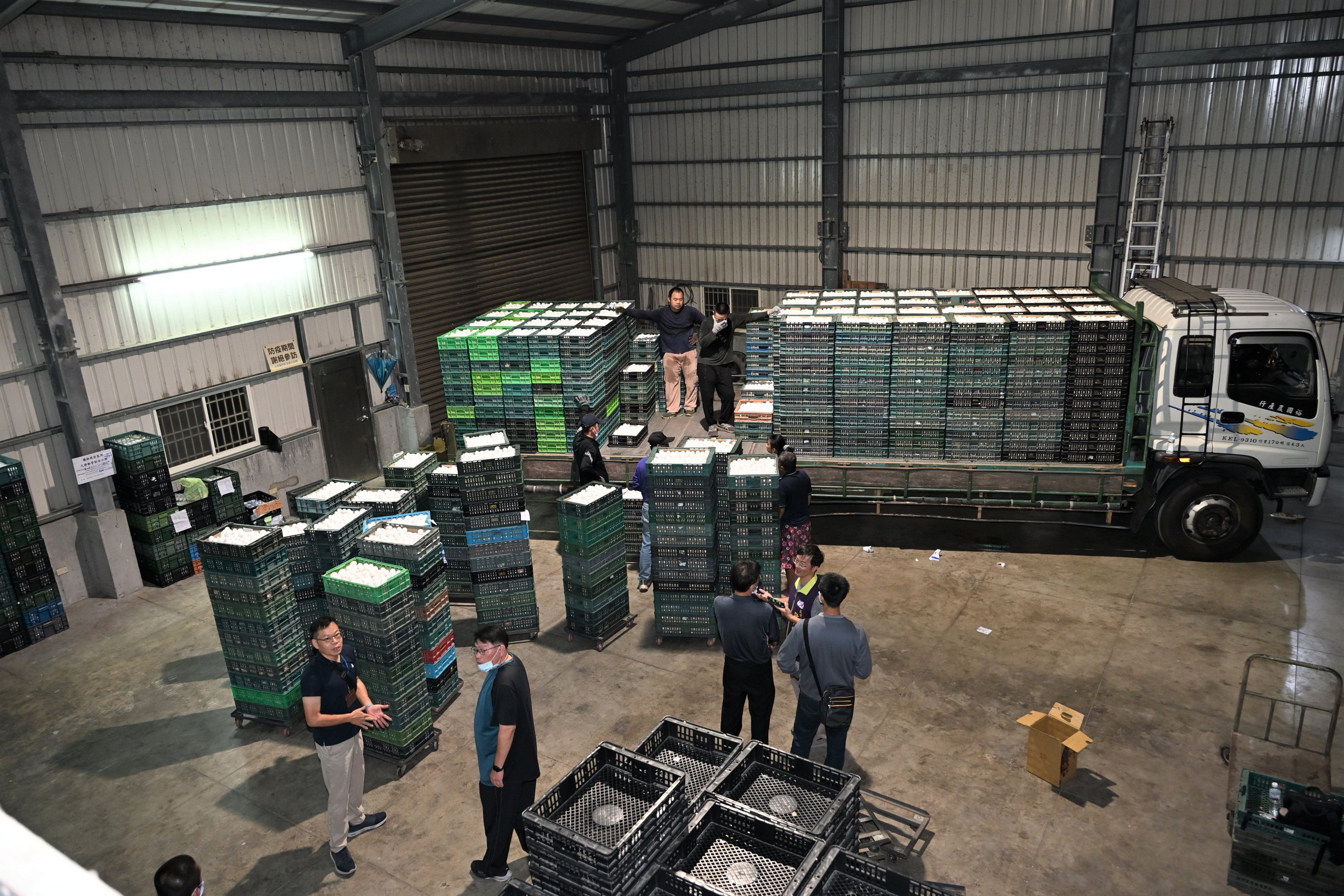 (有影片)/彰化文雅畜牧場雞蛋疑含芬普尼 25萬顆緊急銷毀 - https://www.watchmedia01.com