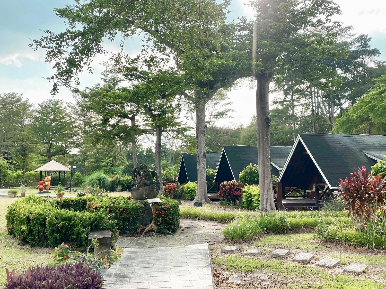 嘉義茶山、曾文水庫二日遊 走訪原鄉文化與山水美景 - https://www.watchmedia01.com