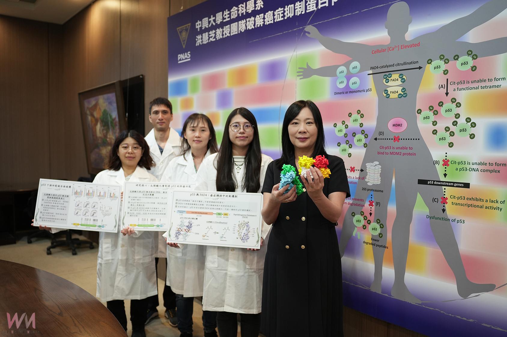 興大洪慧芝教授登上《PNAS》破解癌症抑制蛋白 p53 被「關機」的祕密 - https://www.watchmedia01.com