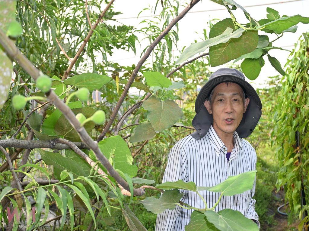 從教壇到菜園 鄭錫禧用十年打造開心農場退休生活更豐盛 - https://www.watchmedia01.com