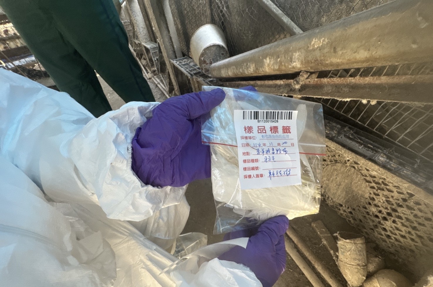 彰化啟動蛋雞場芬普尼監測　首波15場檢驗全數過關 - https://www.watchmedia01.com