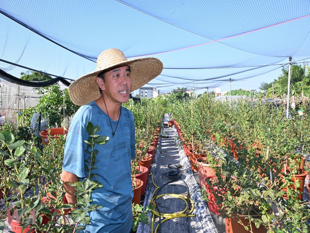 彰化青農何宥鑫打造種苗園 力拚將進口漿果轉為本土果實 - https://www.watchmedia01.com