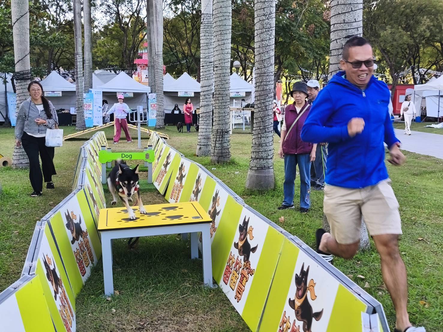 2025新北毛寶貝狂想曲樂遊耶誕趴　全國首創寵物旅遊路線大公開 - https://www.watchmedia01.com