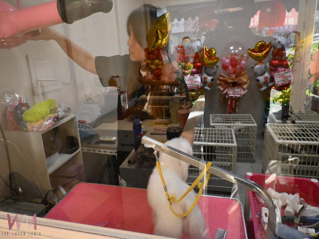 因毛小孩結緣的夫妻檔　攜手在埔鹽打造嚕比專業寵物美容店 - https://www.watchmedia01.com