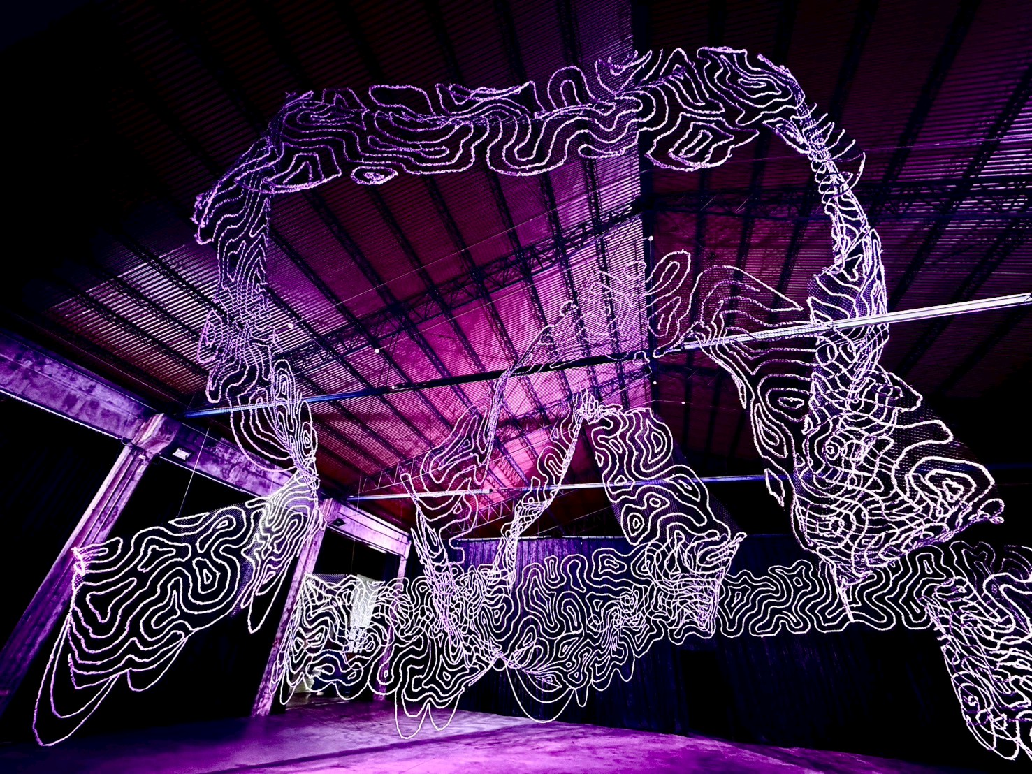  映像節《光與影 Light & Shadow》 中興文創園區展出開啟觀者與土地對話 - https://www.watchmedia01.com