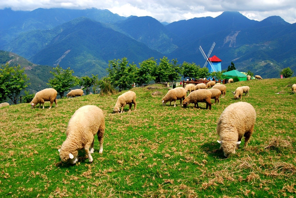合歡山暗空公園雙子座流星雨 X 零光害星空！ - https://www.watchmedia01.com