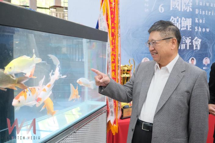 國際錦鯉品評會本周末竹縣府廣場登場 邀鄉親感受水中活寶石錦鯉躍動之美   - https://www.watchmedia01.com