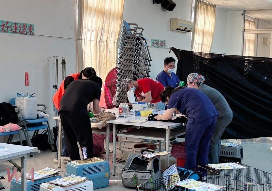 公私協力守護毛小孩 台中市偏區犬貓絕育114年度活動圓滿結束 - https://www.watchmedia01.com