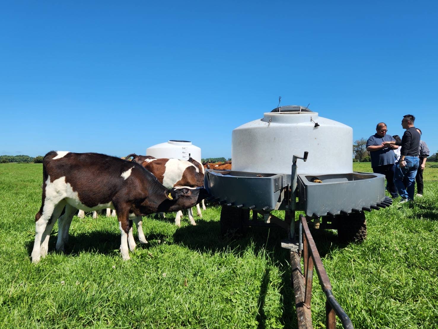 精進乳業管理與永續發展 彰化縣長王惠美帶隊紐西蘭取經 - https://www.watchmedia01.com