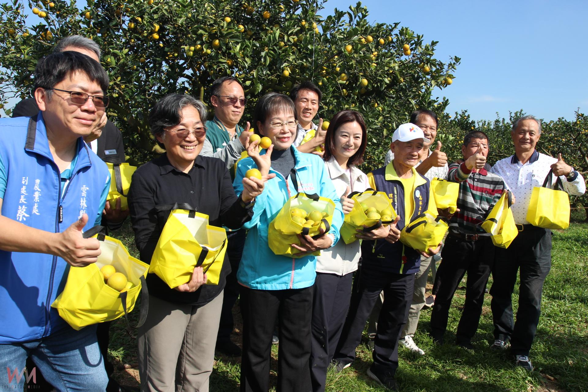 古坑橙色季節綠隧登場 柳丁展售親子闖關等體驗 - https://www.watchmedia01.com