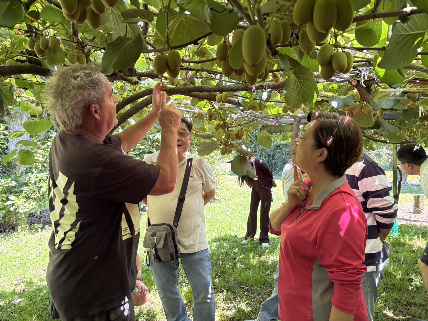 去紐西蘭取經！王惠美赴紐西蘭　取經蜂蜜與奇異果行銷 - https://www.watchmedia01.com