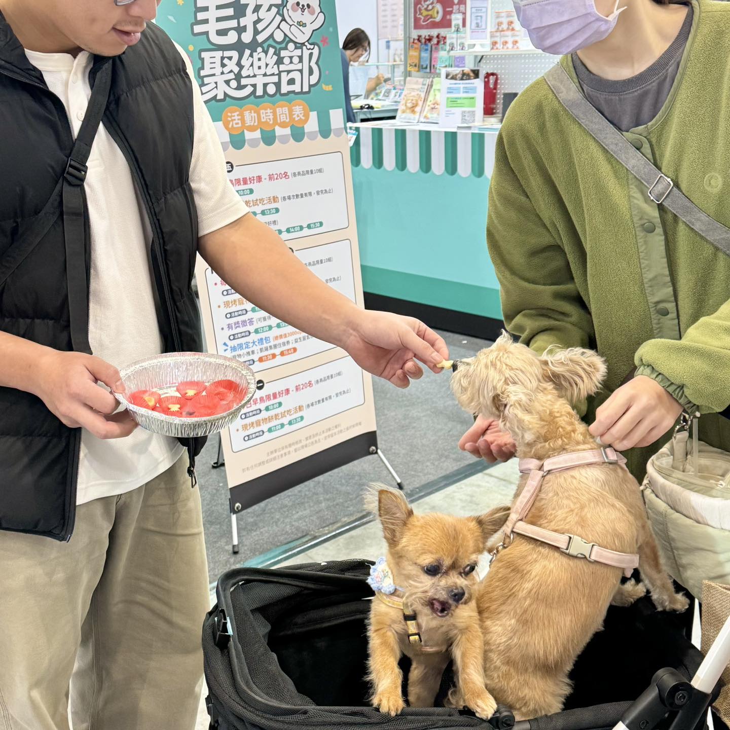 毛孩爸媽的神隊友!DUDUPAY 打造全方位寵物數位分期 - https://www.watchmedia01.com