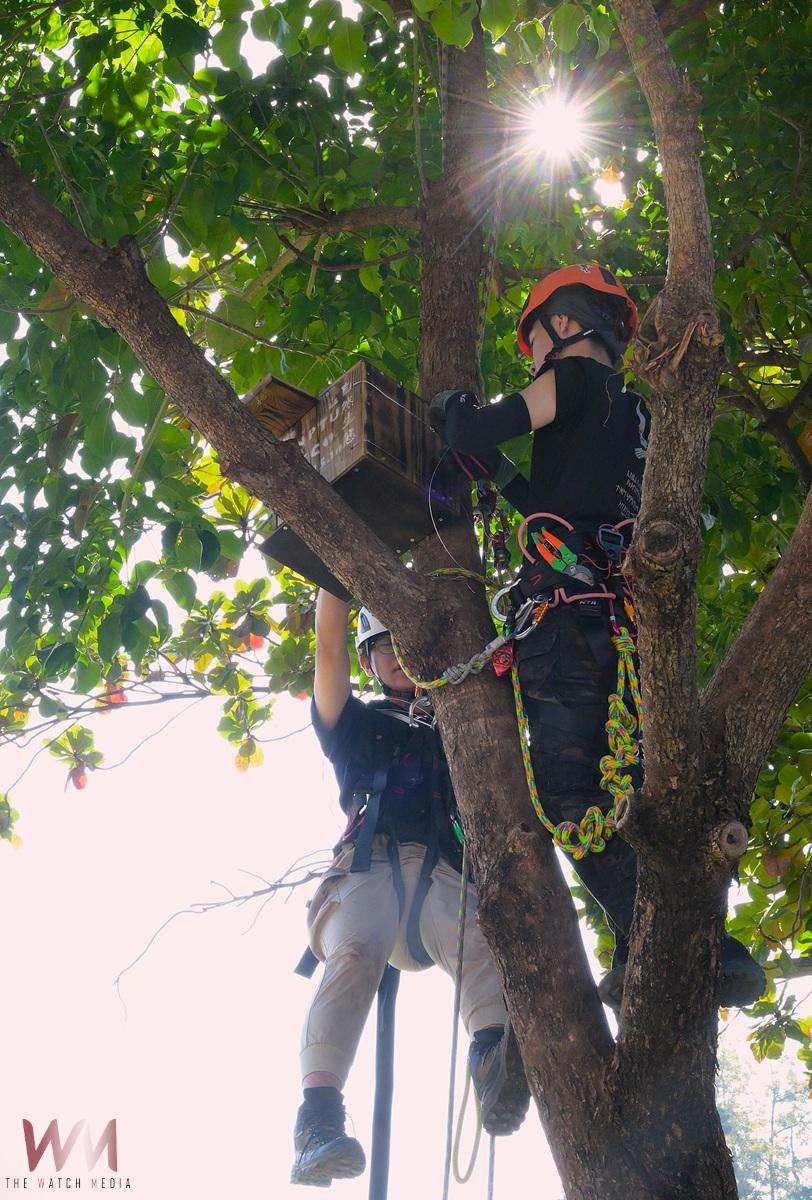 屏東大學校園鳥類生態豐富 三校區架設巢箱觀察其生態 - https://www.watchmedia01.com