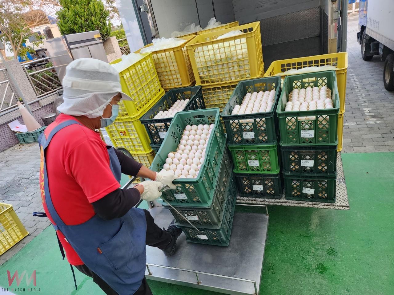 彰化廚餘政策亂象　公文一出　校園廚餘難處理