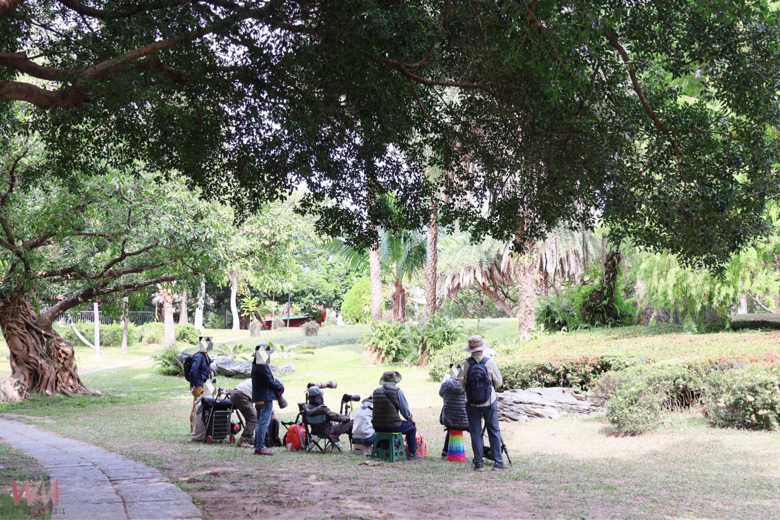 稀有候鳥黃眉鵐現身科博館 呼籲民眾開啟「賞鳥勿擾模式」 - https://www.watchmedia01.com