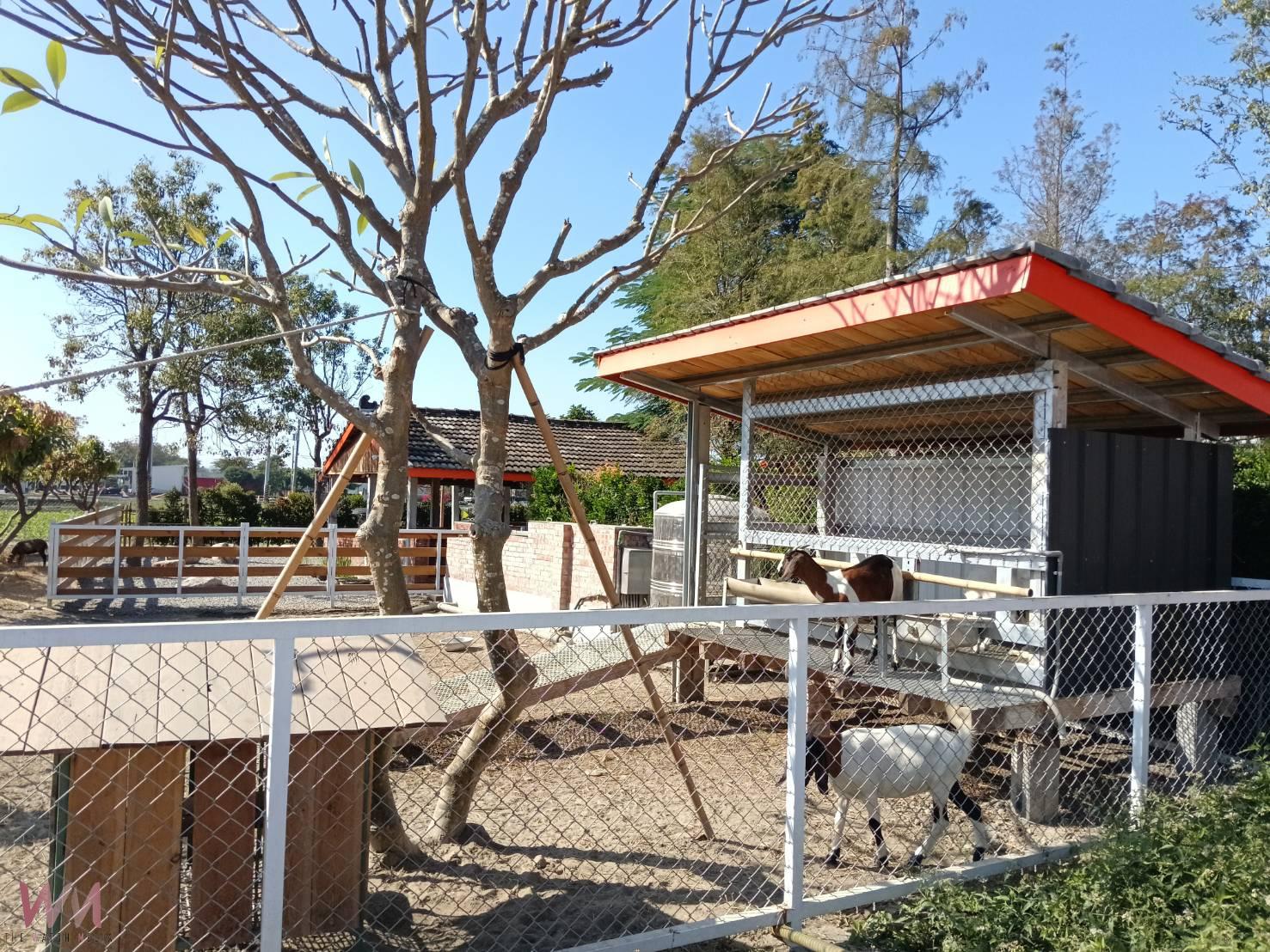 憨吉森根十年・虎珍堂打造「森之院」 三合院百年老厝文化旅遊亮點 - https://www.watchmedia01.com