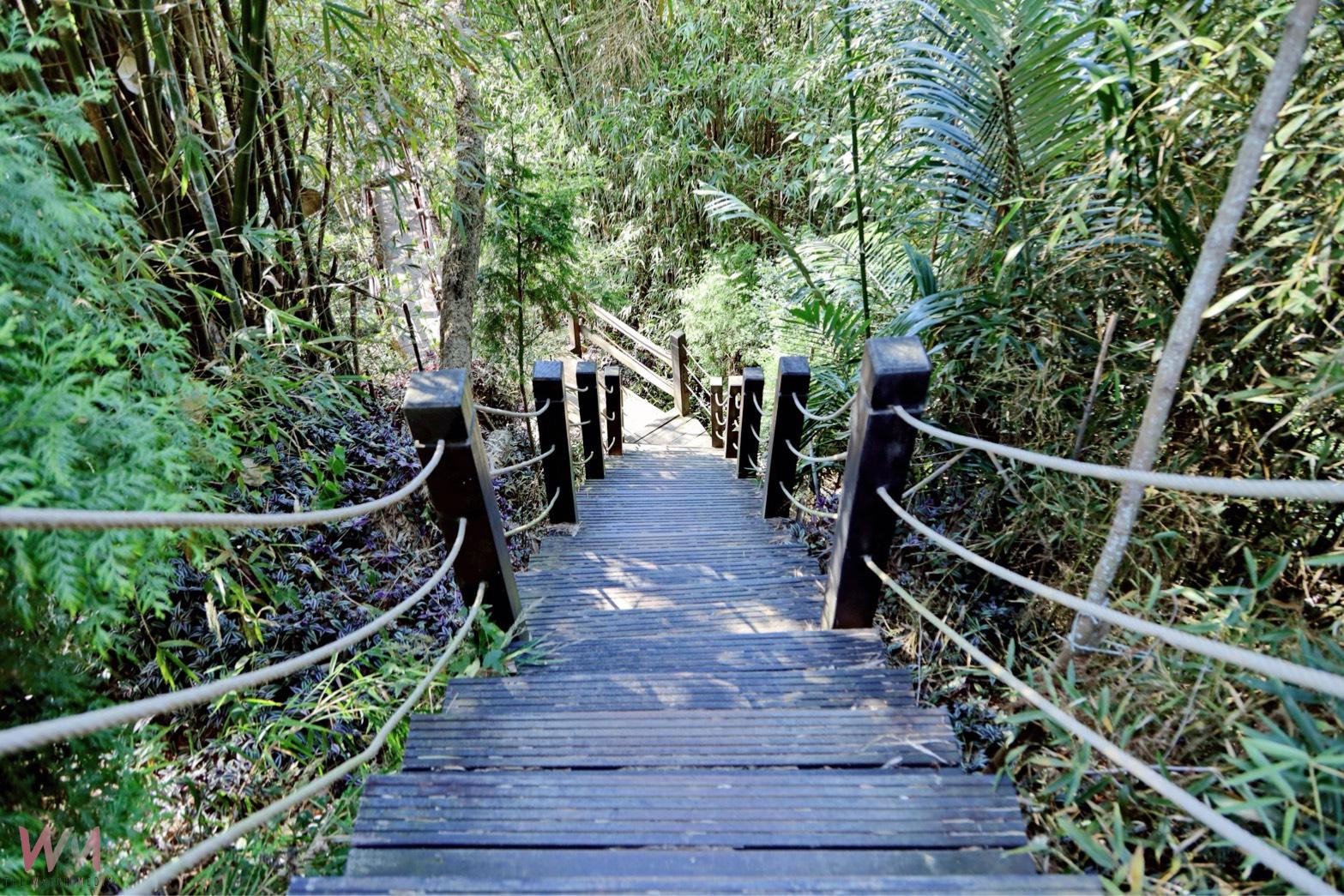 中市全力推動登山步道災害復建工程　觀旅局：部分步道實施封閉措施 - https://www.watchmedia01.com