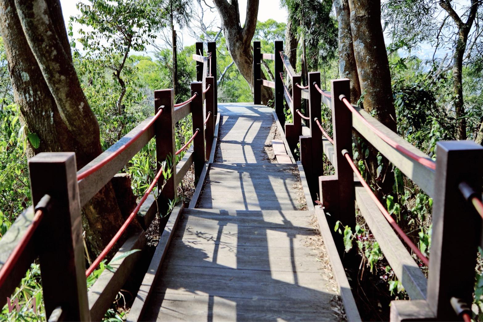 中市全力推動登山步道災害復建工程　觀旅局：部分步道實施封閉措施 - https://www.watchmedia01.com