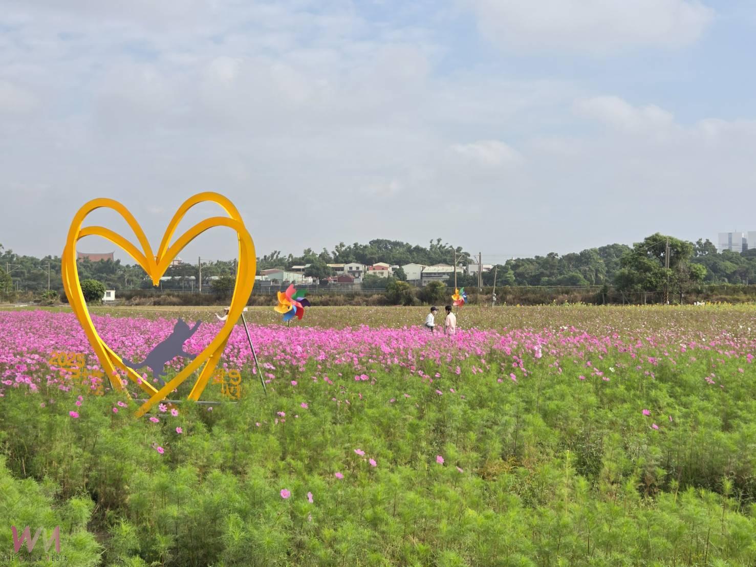 民雄花海結合火車美景引人潮 千人拔蘿蔔享田園樂趣 - https://www.watchmedia01.com