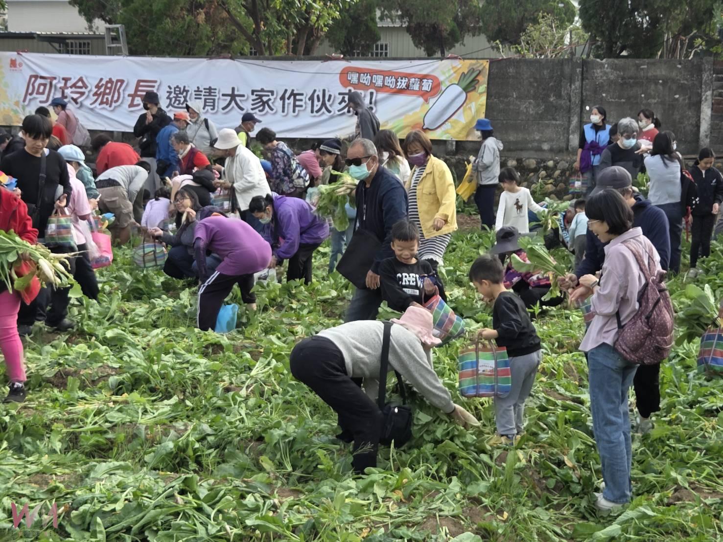 民雄花海結合火車美景引人潮 千人拔蘿蔔享田園樂趣 - https://www.watchmedia01.com