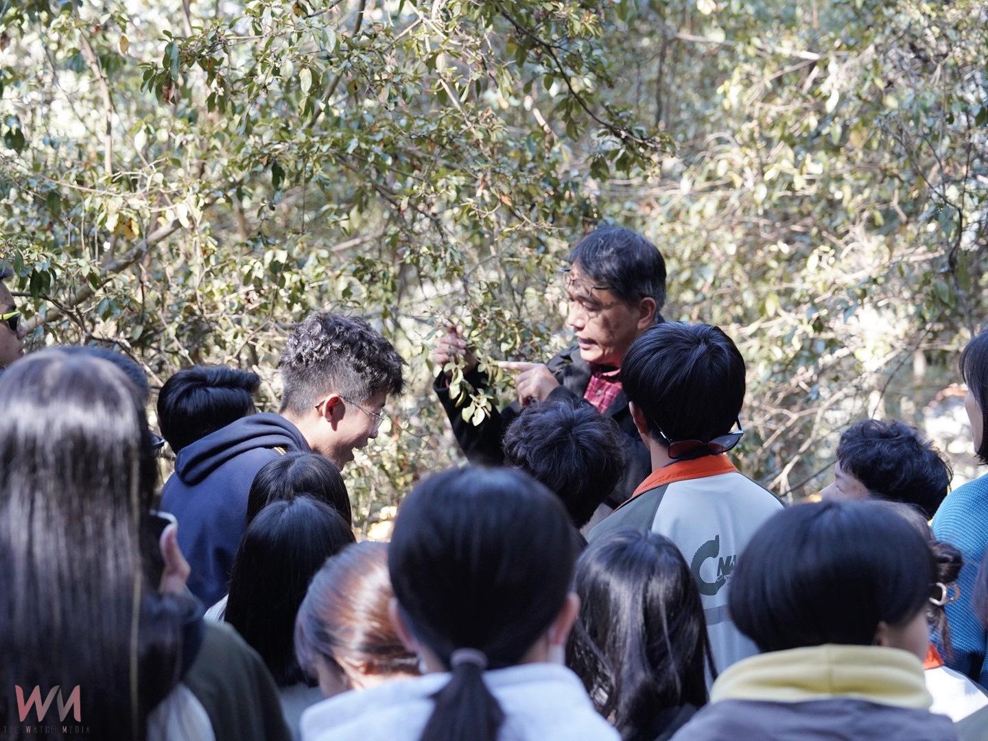 中興大學攜手杉林溪、嘉大　深度復育臺灣特有種「埔里杜鵑」