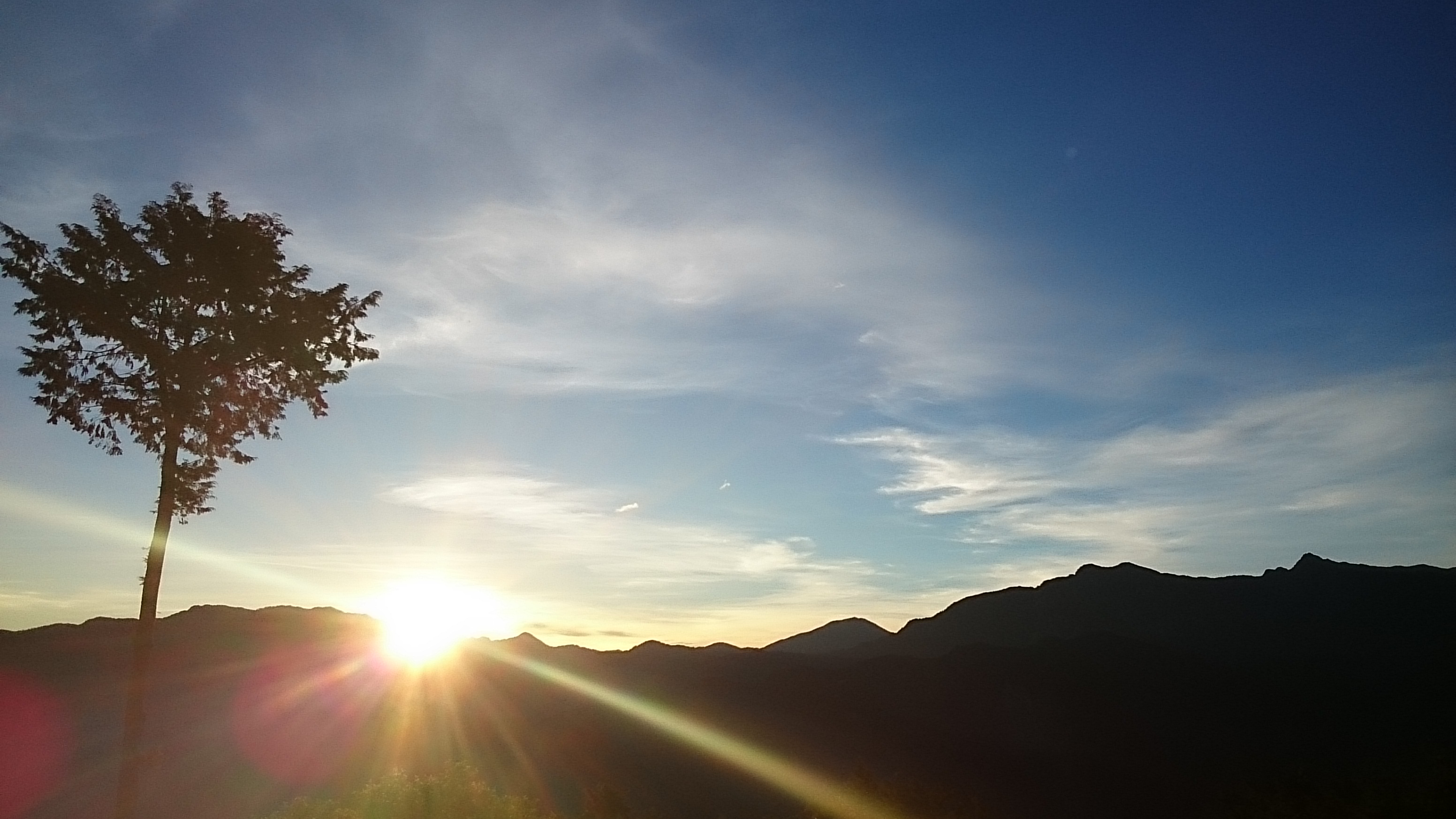 元旦追日首選阿里山　祝山觀日、雲海夕照一次收藏