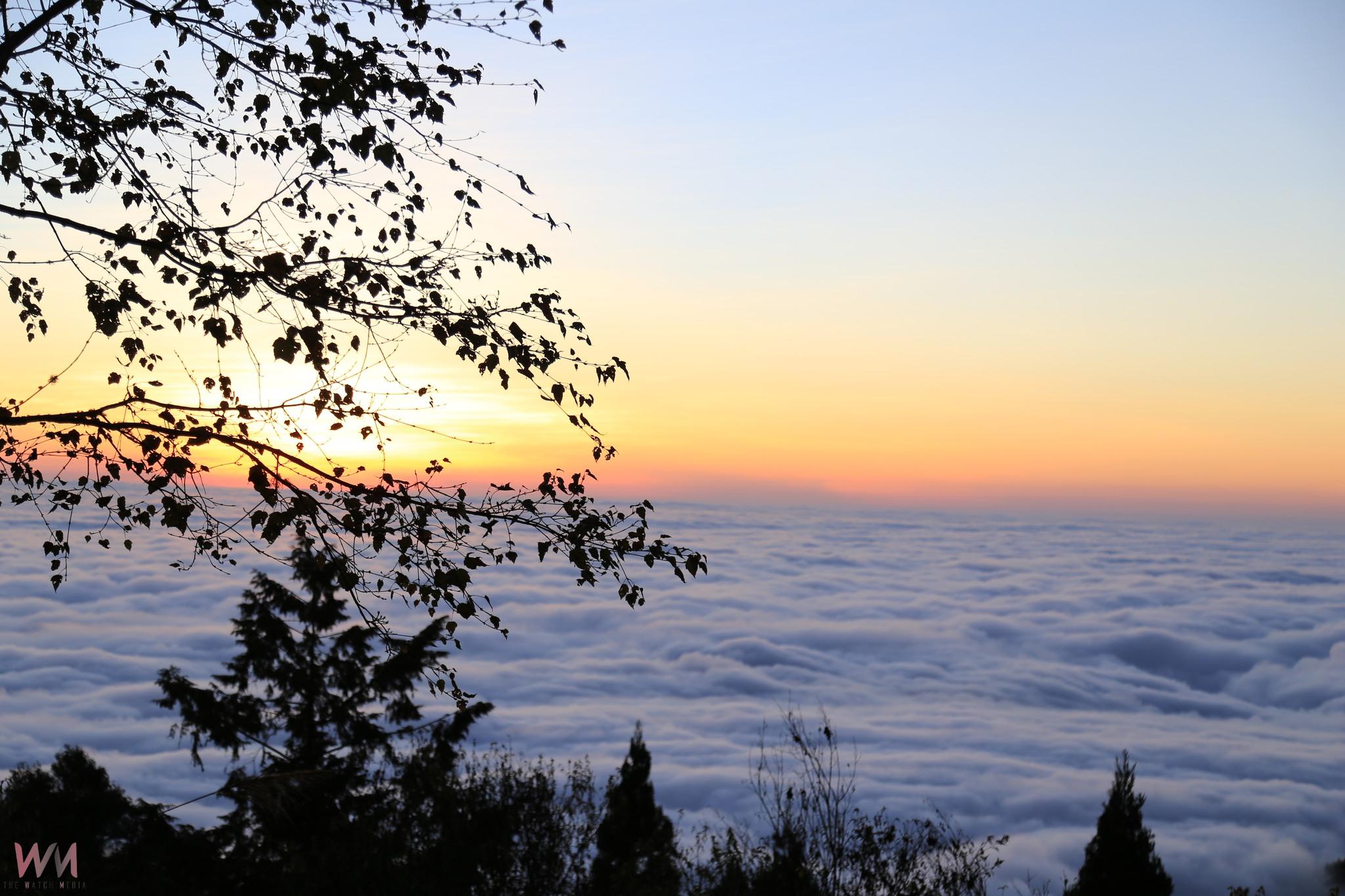 元旦追日首選阿里山　祝山觀日、雲海夕照一次收藏 - https://www.watchmedia01.com