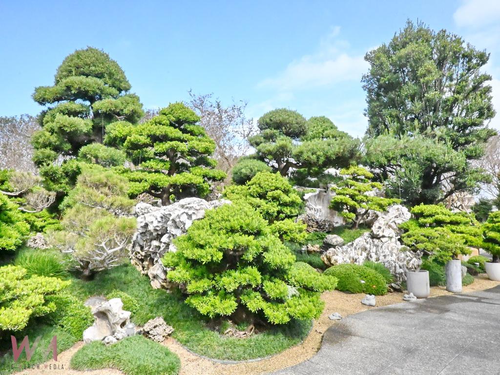 彰化古典庭園再添亮點 銘園庭園美術館蘇子淵低調綻放 - https://www.watchmedia01.com