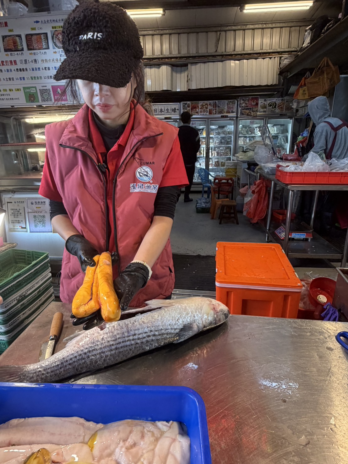 (有影片)/線西塭仔港4000尾烏魚湧現 野生烏魚子搶翻天 - https://www.watchmedia01.com