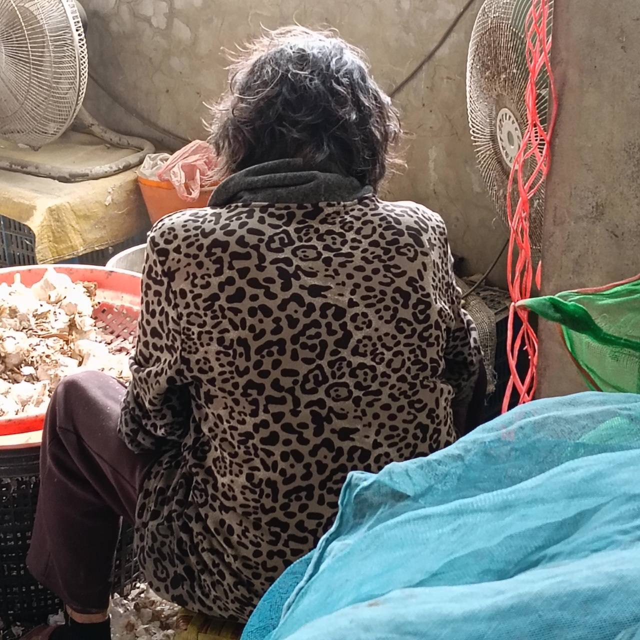 (有影片)/伸港逆孫用安全帽猛撞阿嬤頭部 影片曝光引眾怒 - https://www.watchmedia01.com