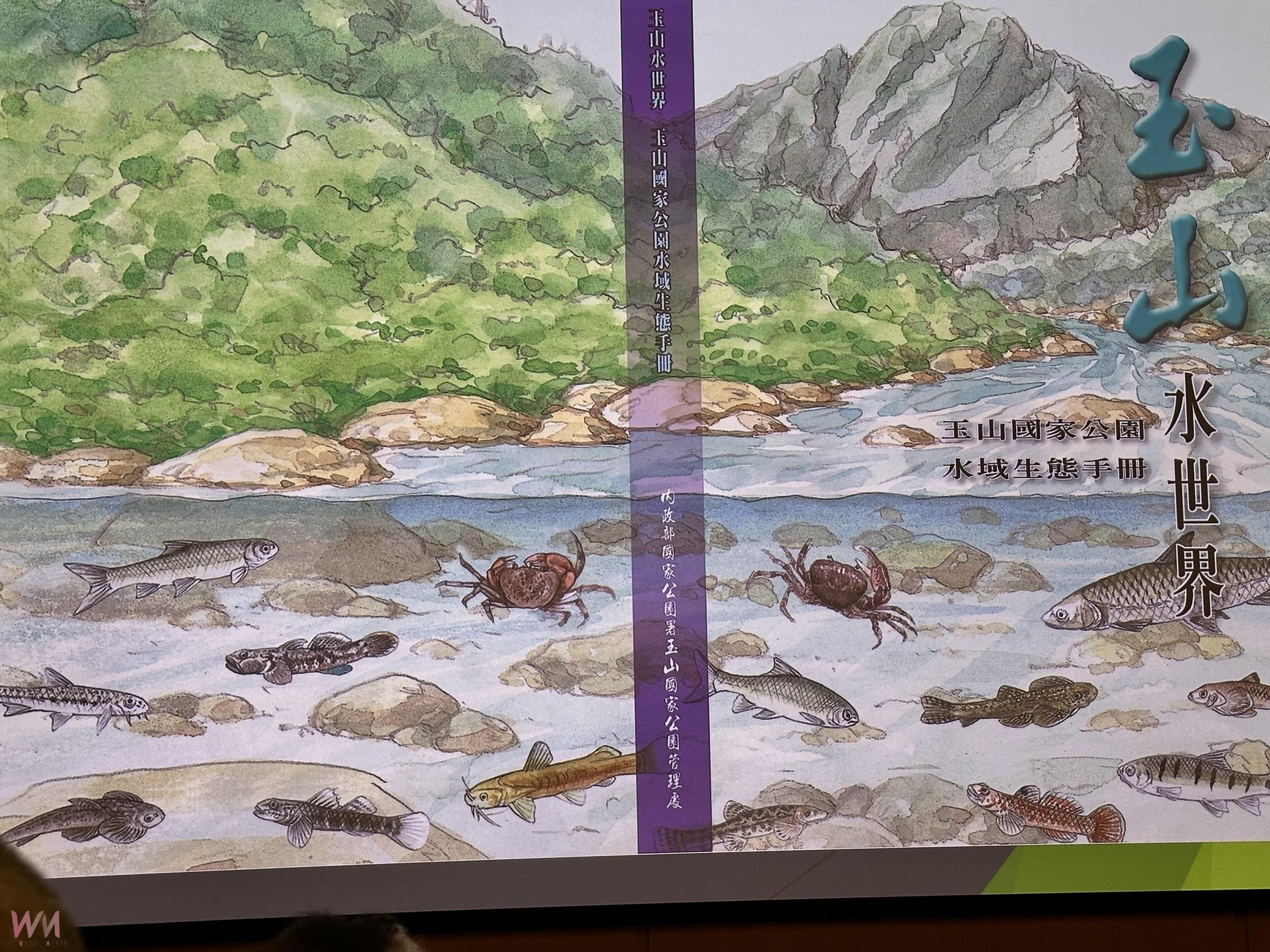 玉山國家公園40周年慶 鳶飛魚躍特展與新書發表會帶領大眾走入玉山生態 - https://www.watchmedia01.com