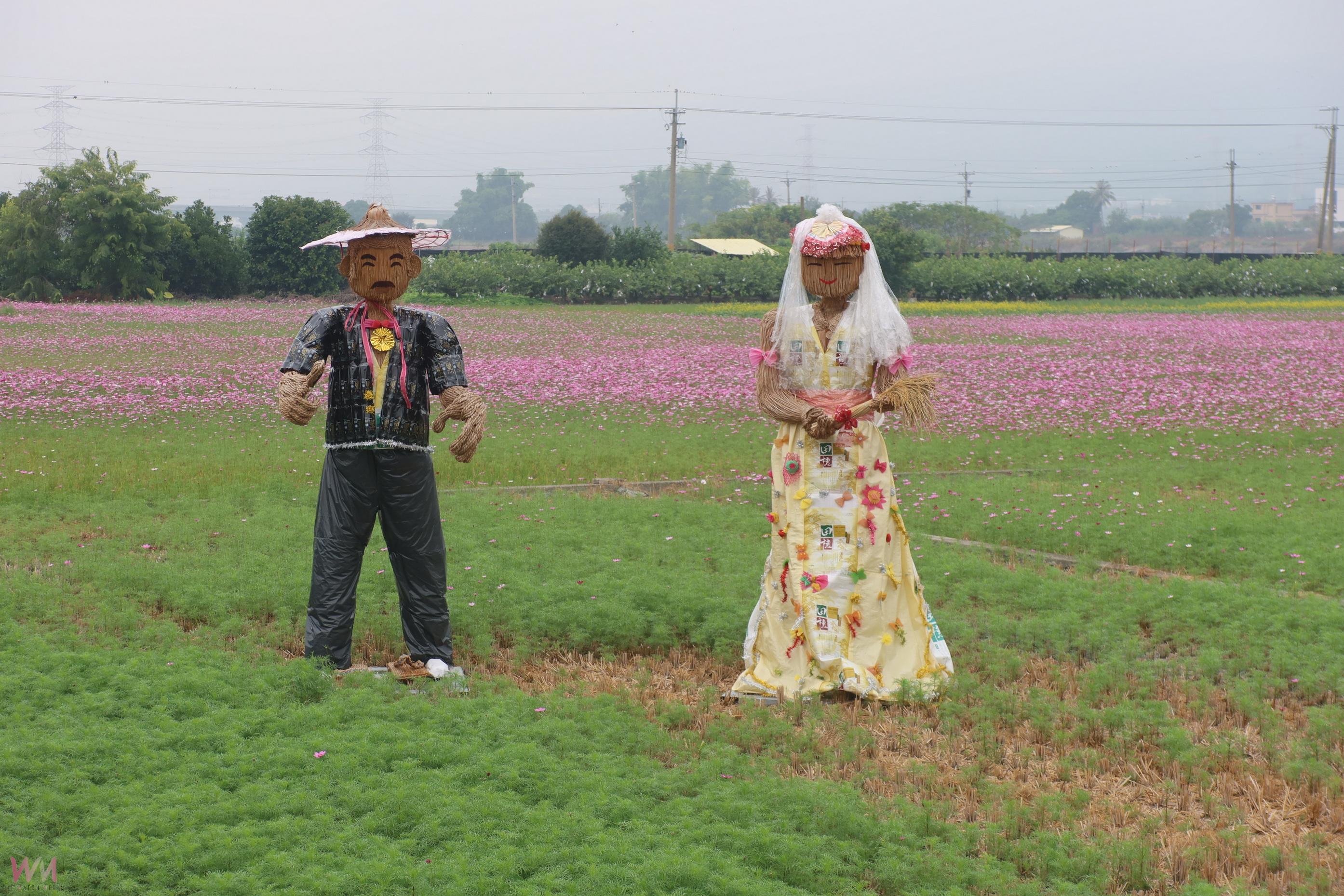 （有影片）／田中稻草藝術節　12公頃花海與稻草裝置吸引遊客 - https://www.watchmedia01.com