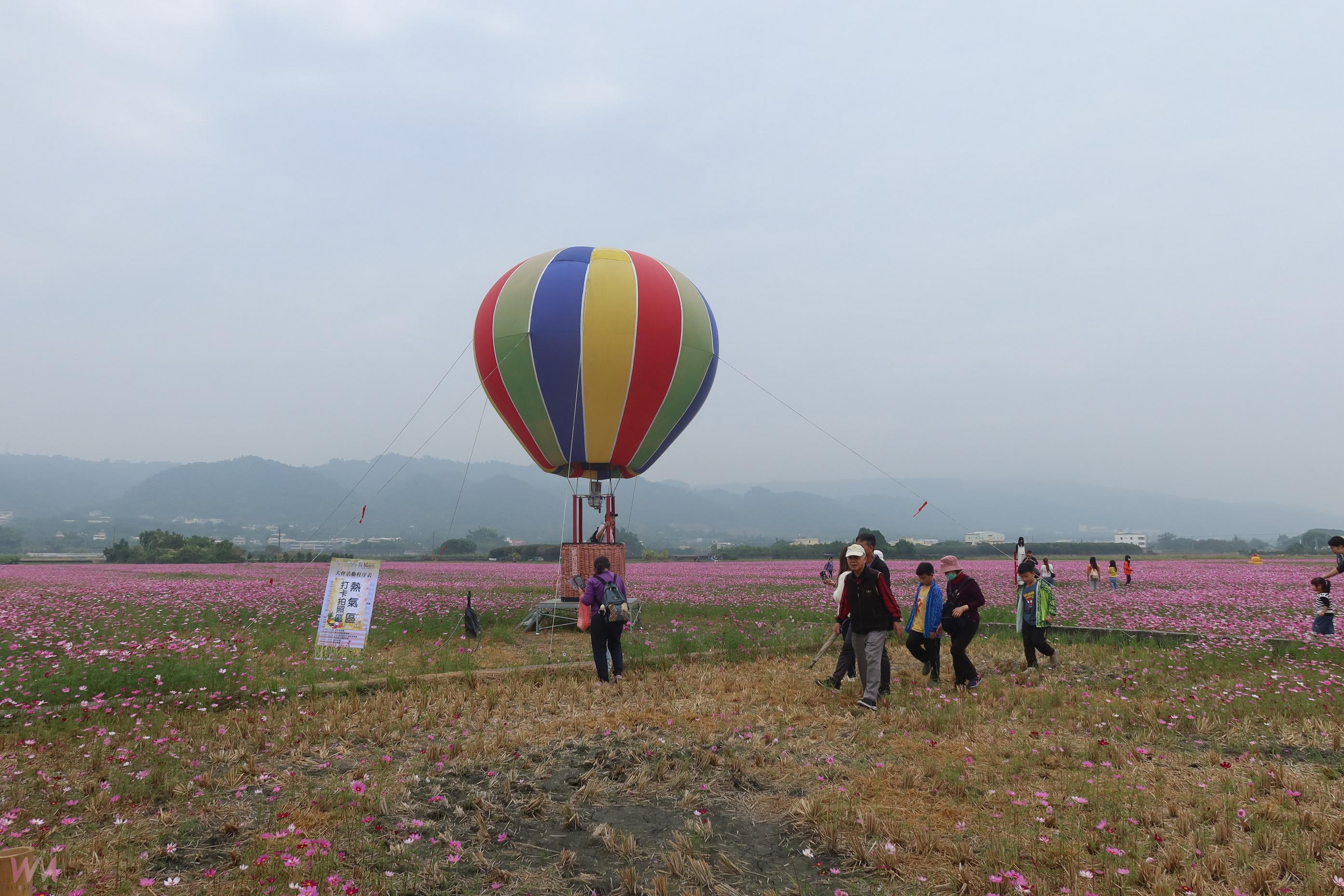 （有影片）／田中稻草藝術節　12公頃花海與稻草裝置吸引遊客 - https://www.watchmedia01.com